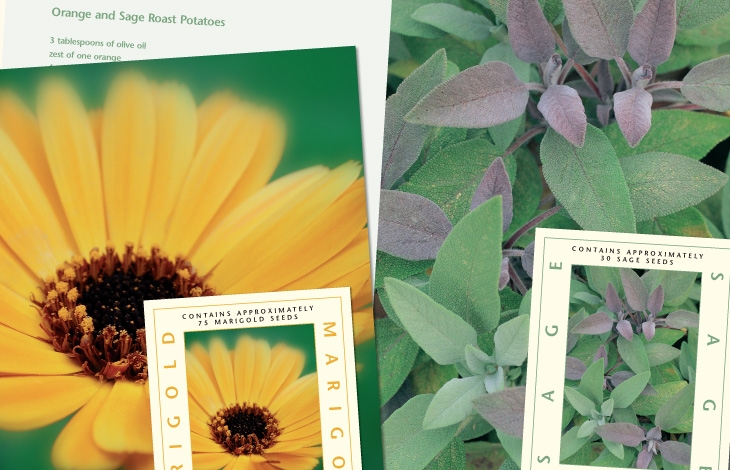 Herb seed cards